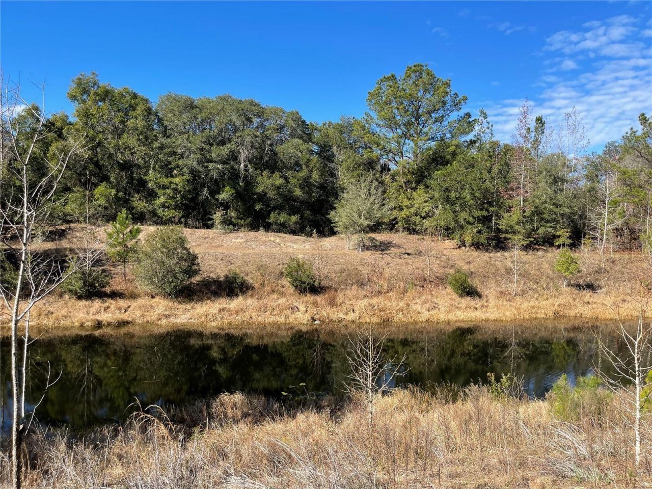 24510 NE State Rd 26, Melrose, FL 32666 Photo