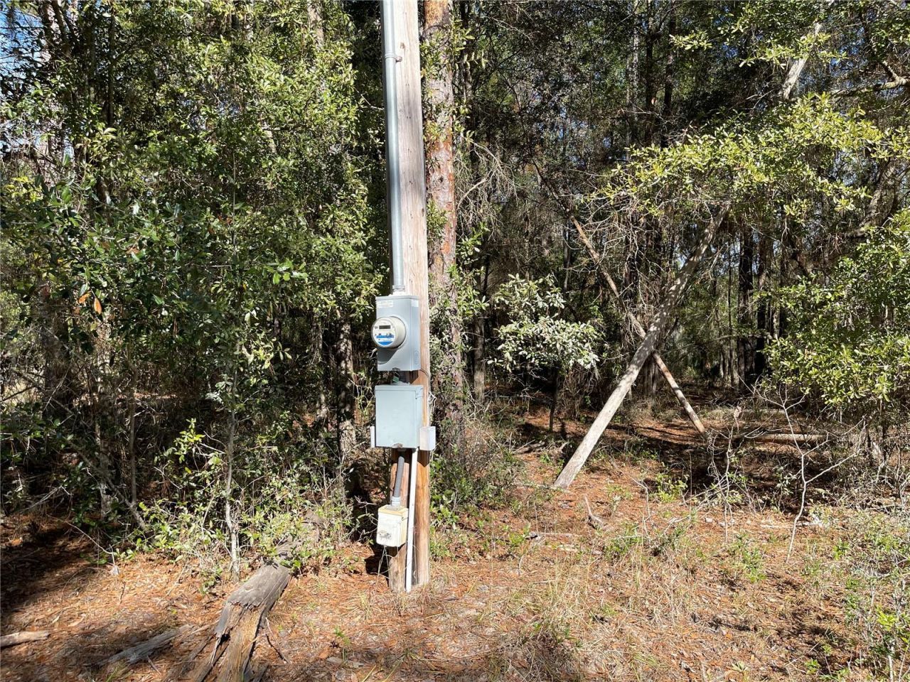 24510 NE State Rd 26, Melrose, FL 32666 Photo