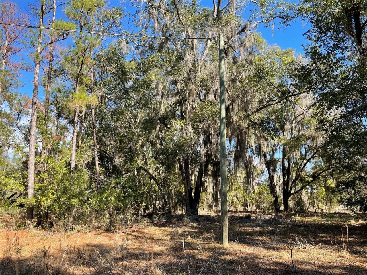 24510 NE State Rd 26, Melrose, FL 32666 Photo