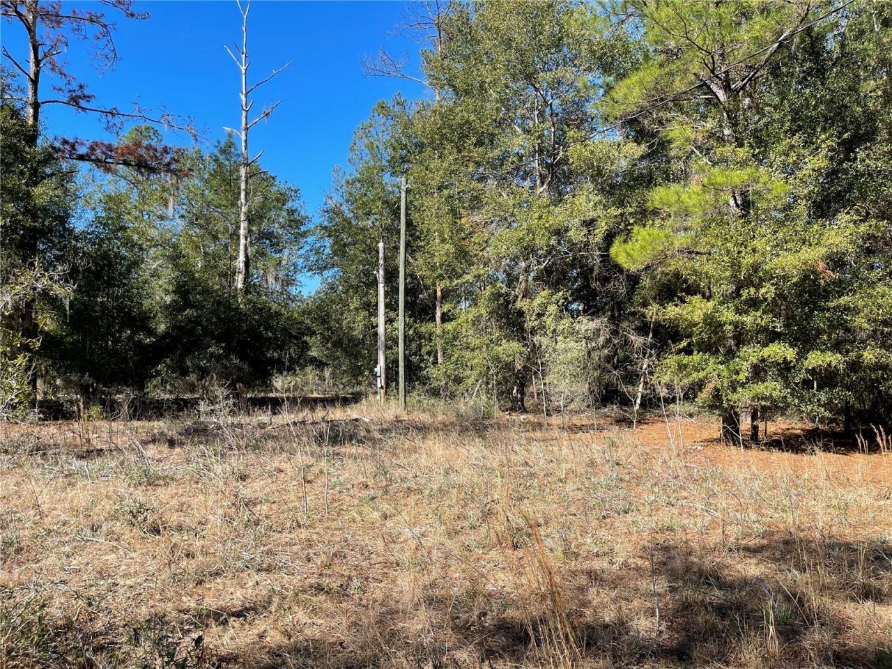 24510 NE State Rd 26, Melrose, FL 32666 Photo