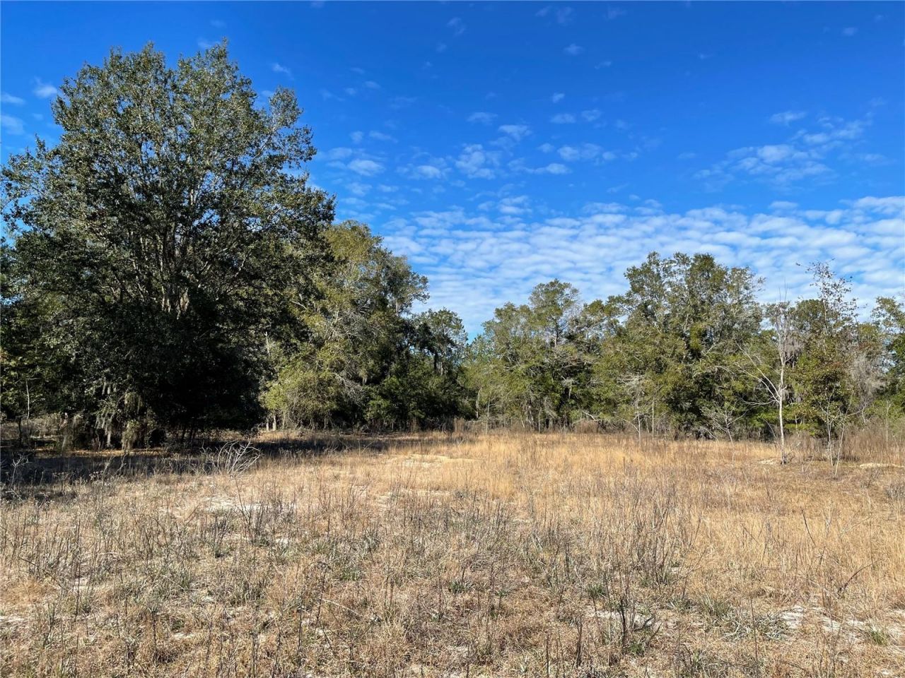 24510 NE State Rd 26, Melrose, FL 32666 Photo