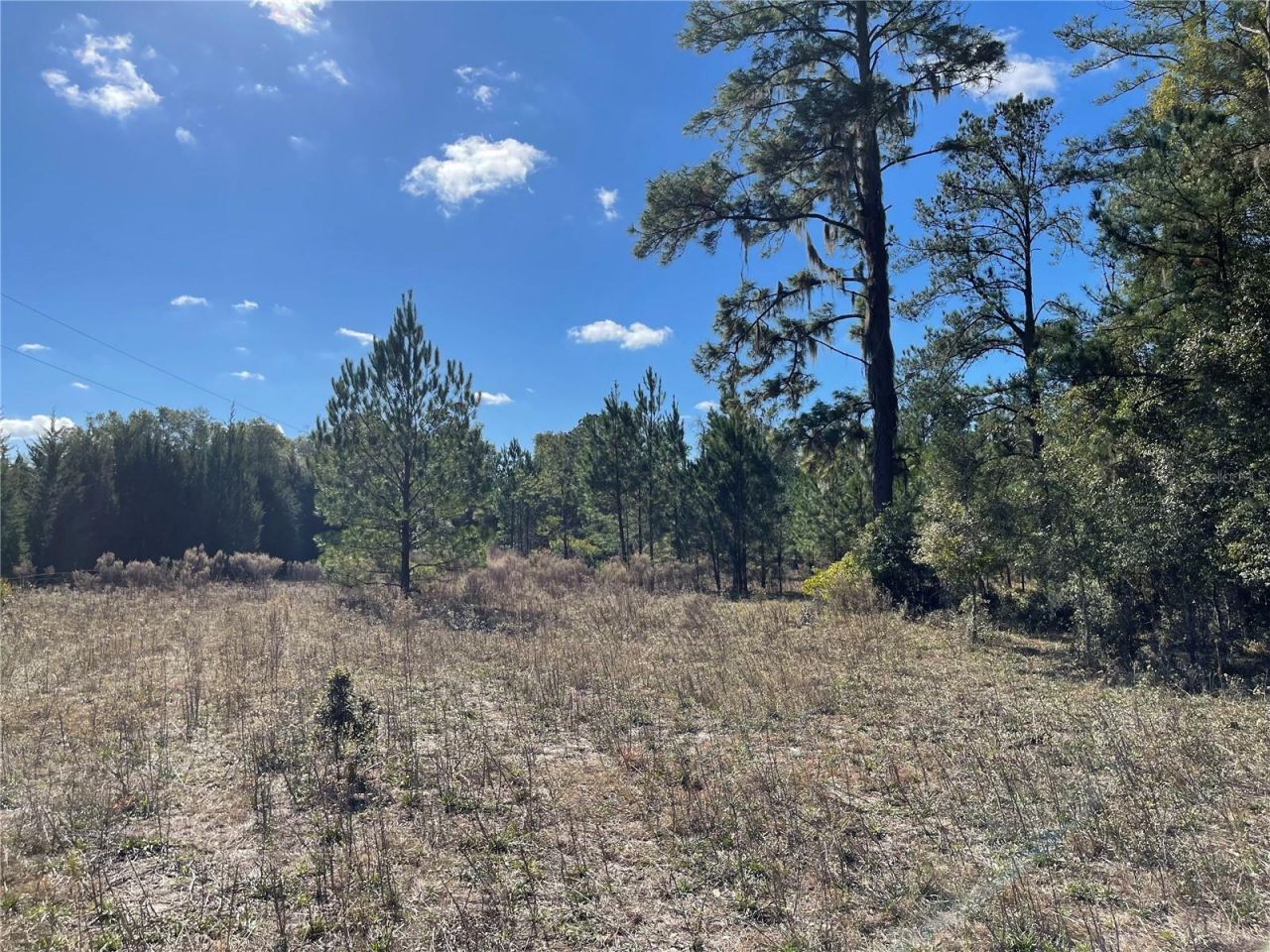 24510 NE State Rd 26, Melrose, FL 32666 Photo