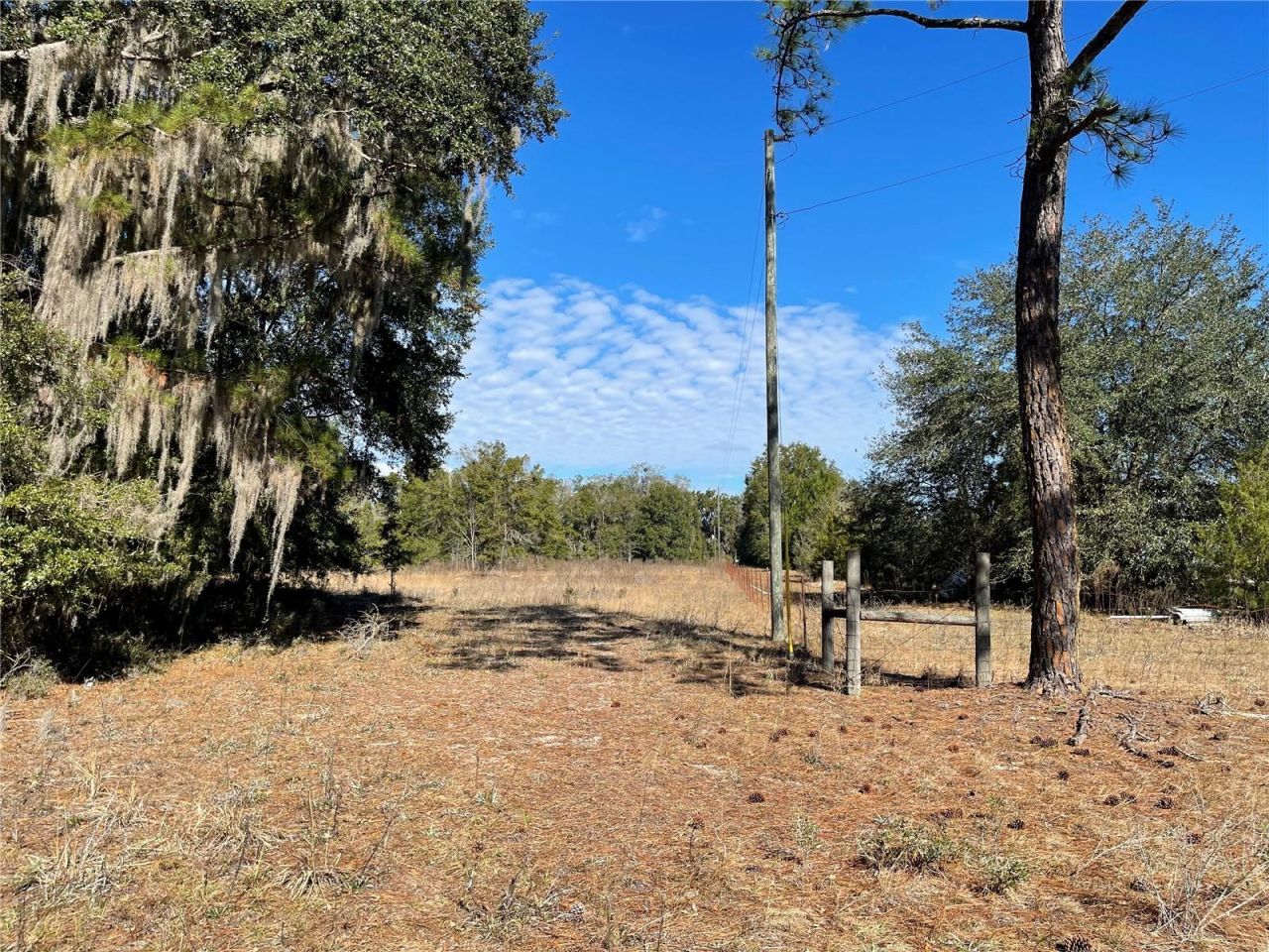 24510 NE State Rd 26, Melrose, FL 32666 Photo