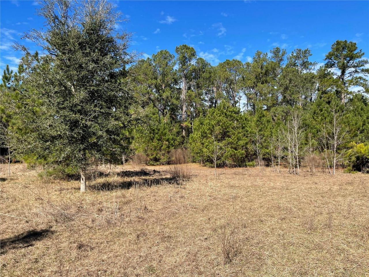 24510 NE State Rd 26, Melrose, FL 32666 Photo