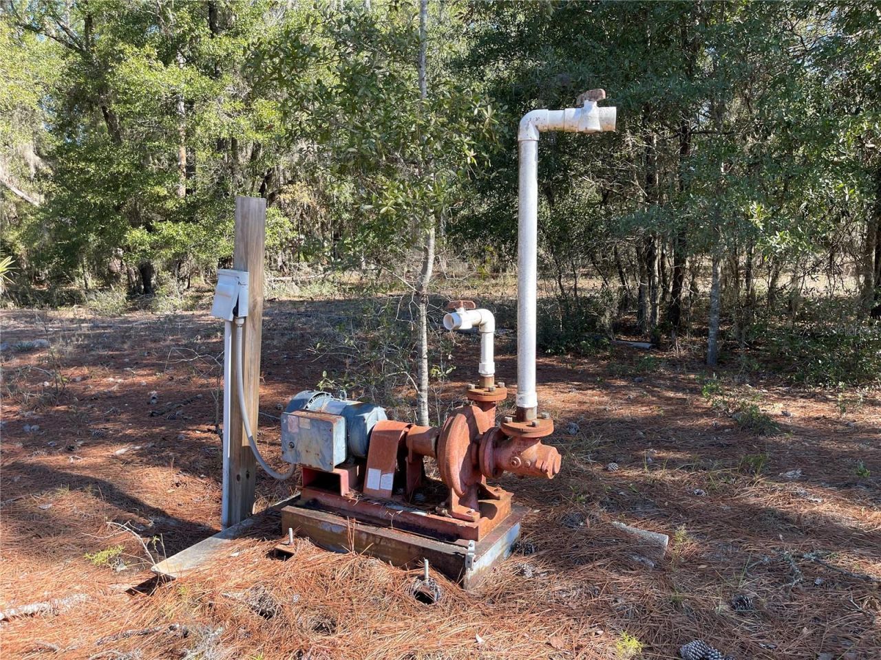 24510 NE State Rd 26, Melrose, FL 32666 Photo