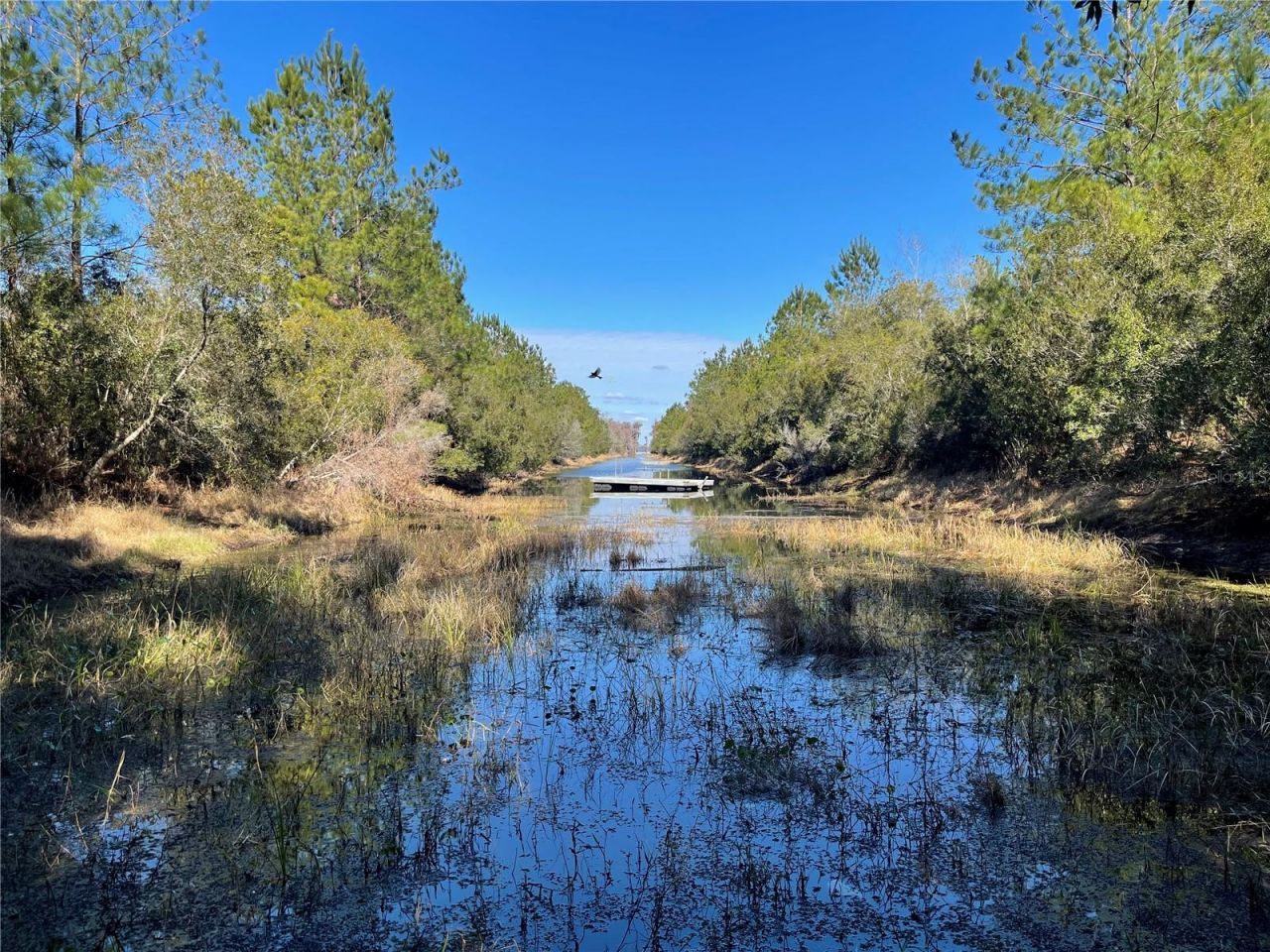 24510 NE State Rd 26, Melrose, FL 32666 Photo