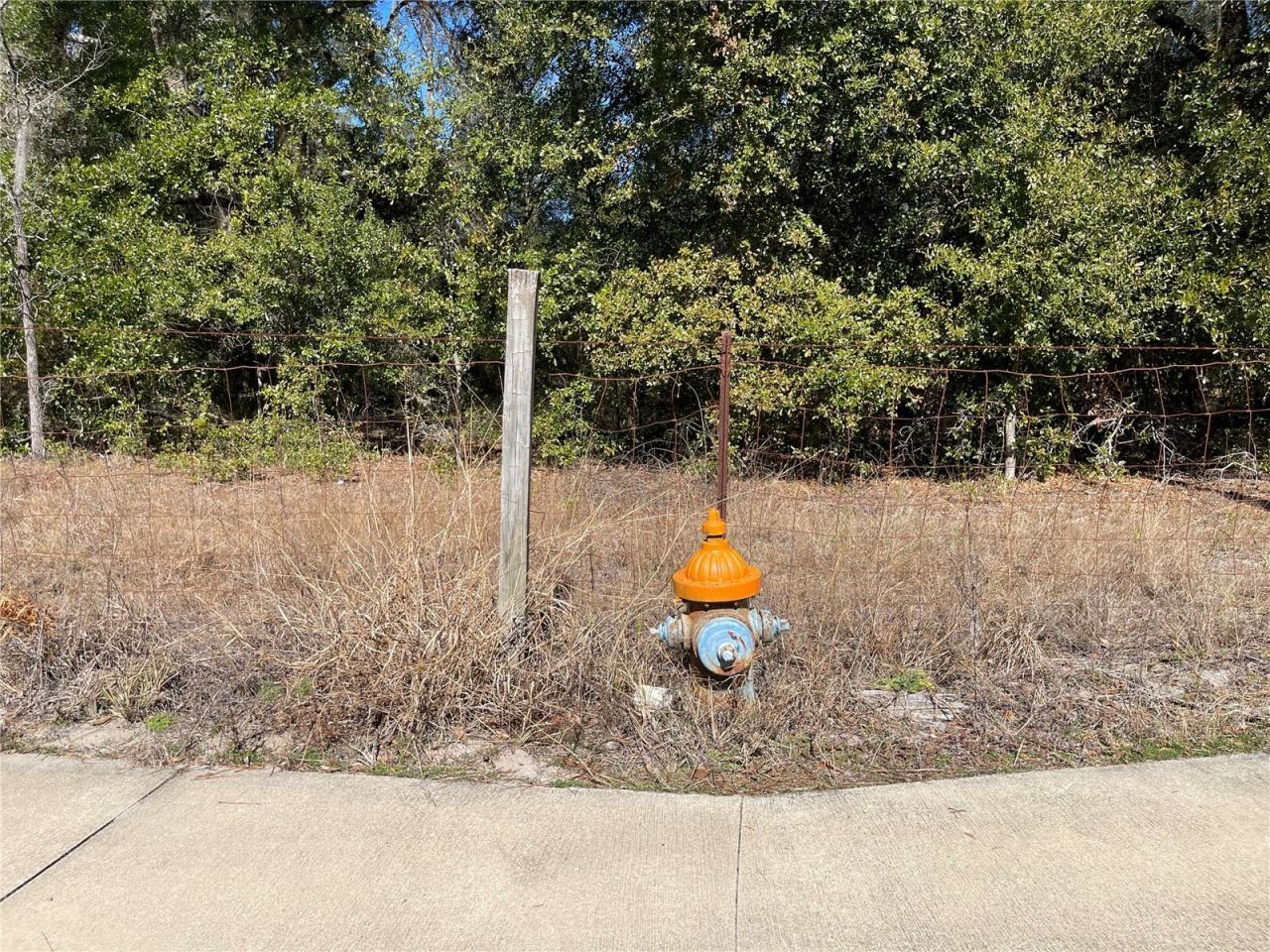 24510 NE State Rd 26, Melrose, FL 32666 Photo