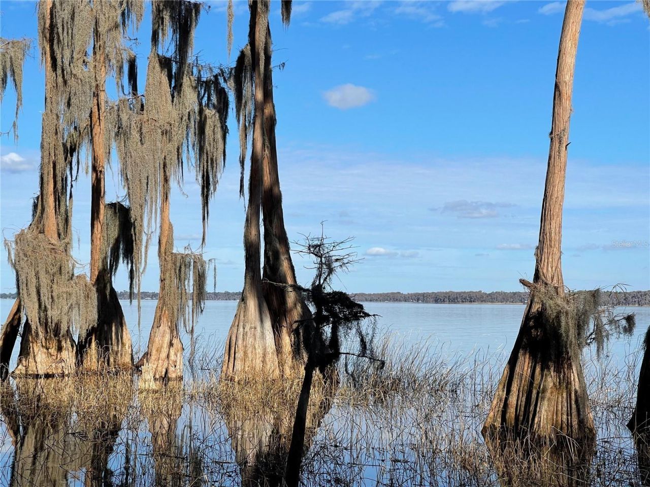 24510 NE State Rd 26, Melrose, FL 32666 Photo