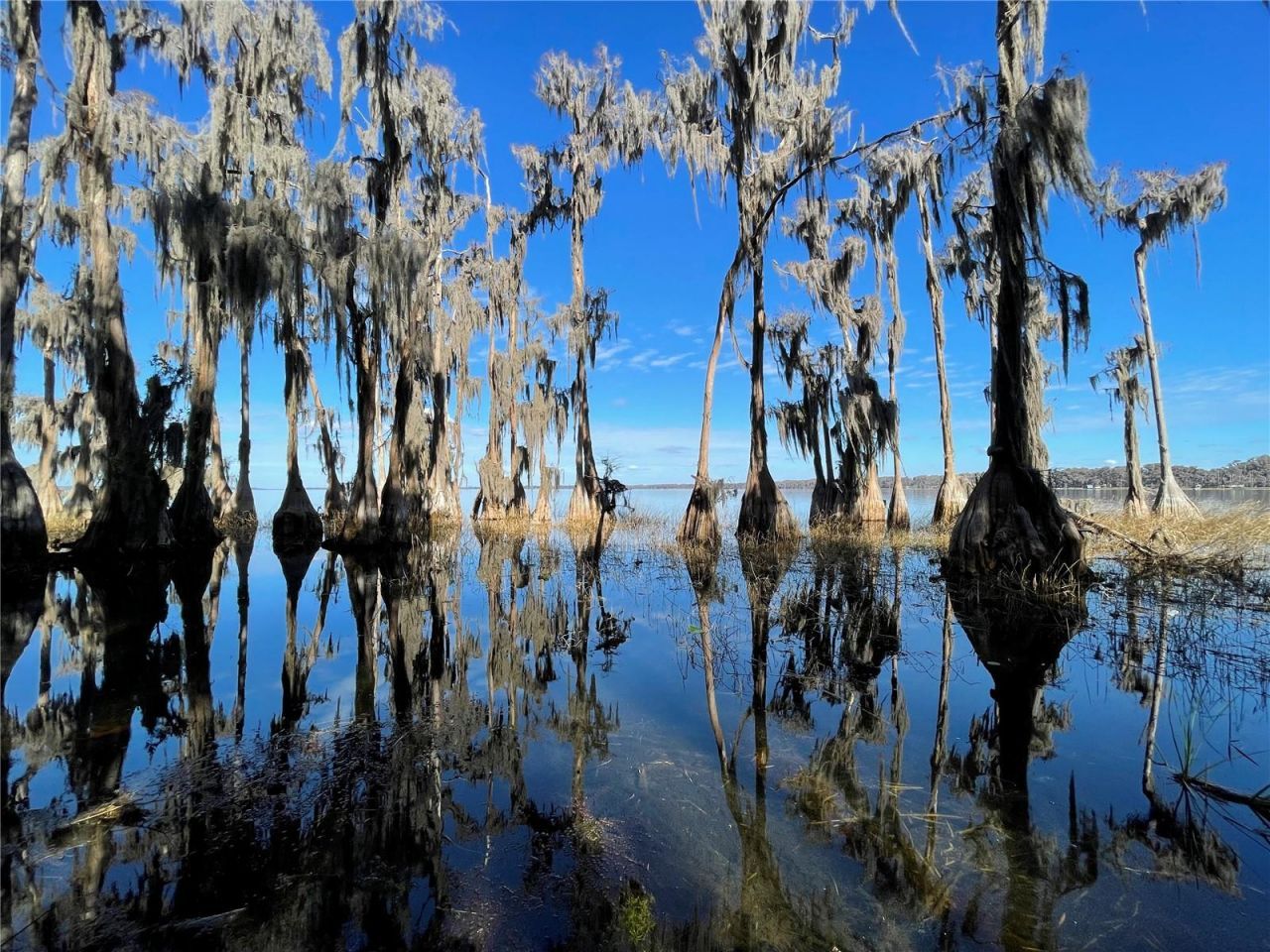 24510 NE State Rd 26, Melrose, FL 32666 Photo