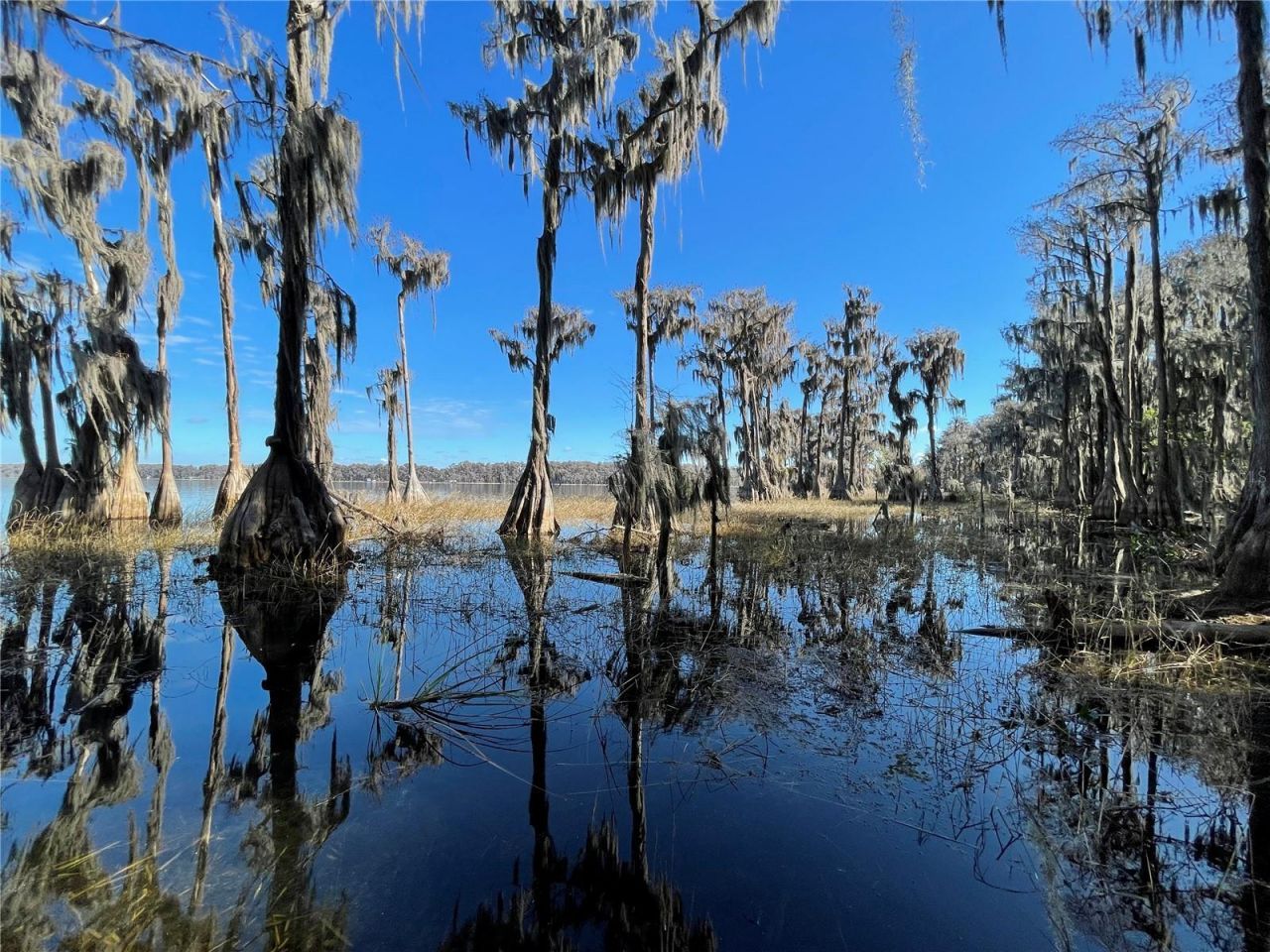 24510 NE State Rd 26, Melrose, FL 32666 Photo