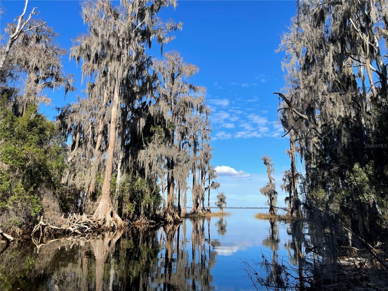 24510 NE State Rd 26, Melrose, FL 32666 Photo