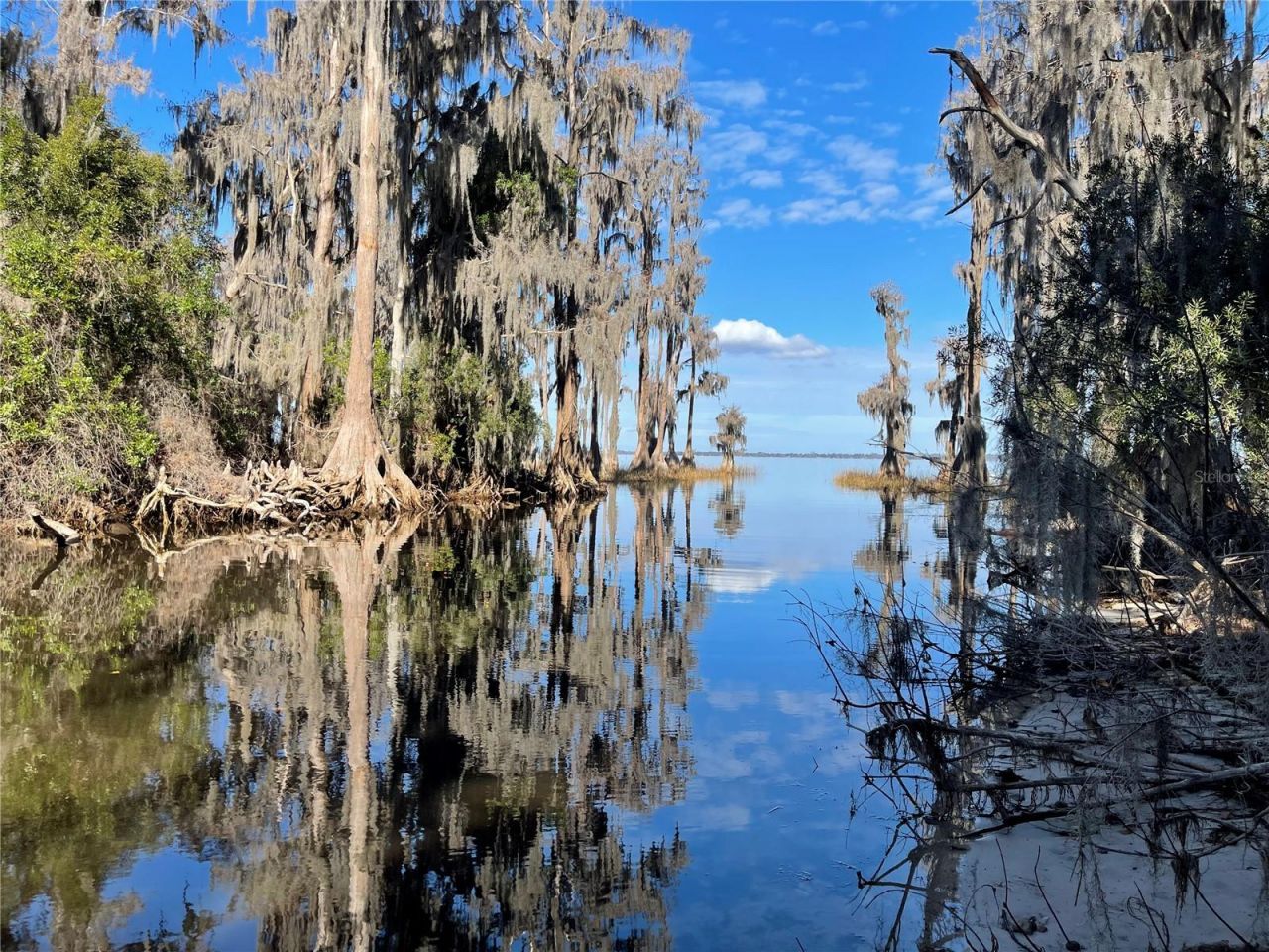 24510 NE State Rd 26, Melrose, FL 32666 Photo