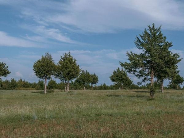 30462 Mesquite Tree Way, Norman, OK 73072