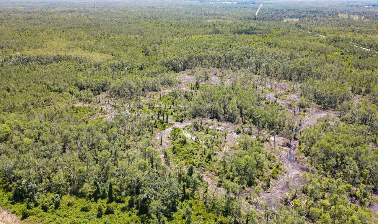 1217 SW Caleb Avenue , Madison, FL 32340 Photo