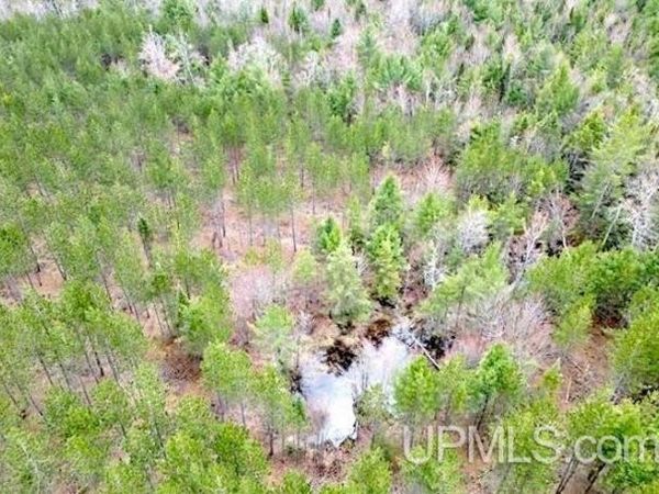 TBD West Round Lake Road, Masonville Twp, MI 49878