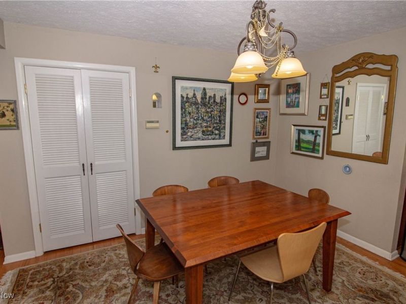 250 Roshon Drive, Medina, OH 44256 Photo 12