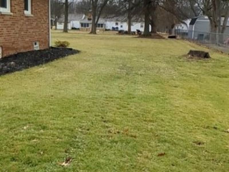 771 Leeman Drive, Akron, OH 44319 Photo 3