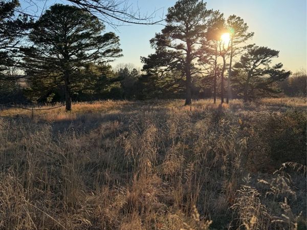 Highway 48, Allen, OK 74825