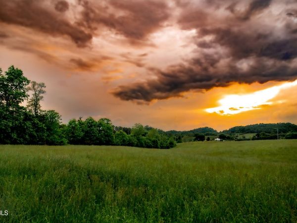 Tbd Old Hall Road Parcel'S 3 & 4, Limestone, TN 37681