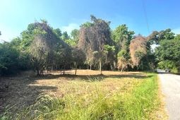 332 Dupre Road photo 4