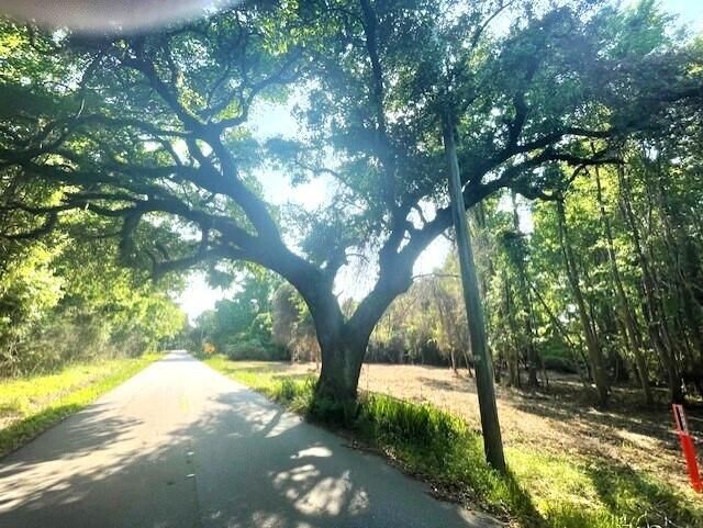 332 Dupre Road Photo 4