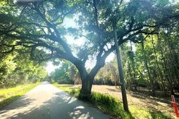 332 Dupre Road photo 4