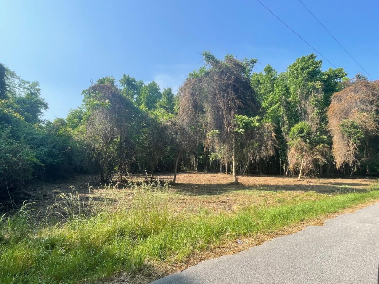 332 Dupre Road Photo 5