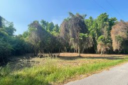 332 Dupre Road photo 4