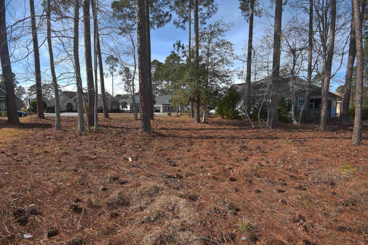 2816 Mcleod Ln. Photo 7