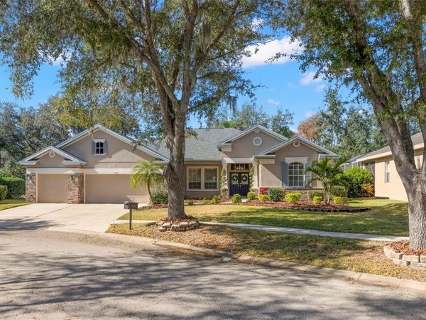 15321 VIREOGLEN LANE, LITHIA, FL 33547