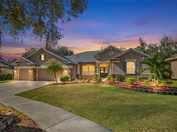 15321 VIREOGLEN LANE, LITHIA, FL 33547