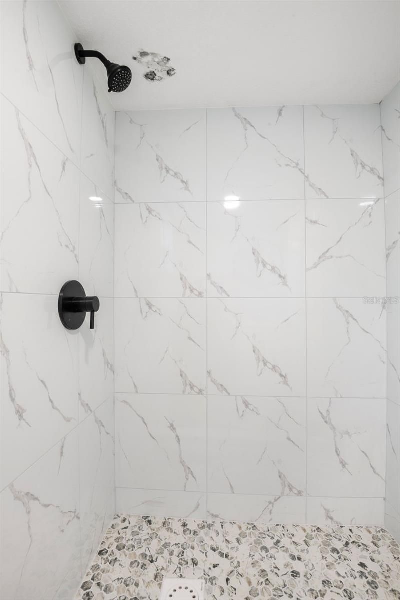 209 12th Avenue N, Saint Petersburg, FL 33704 Photo