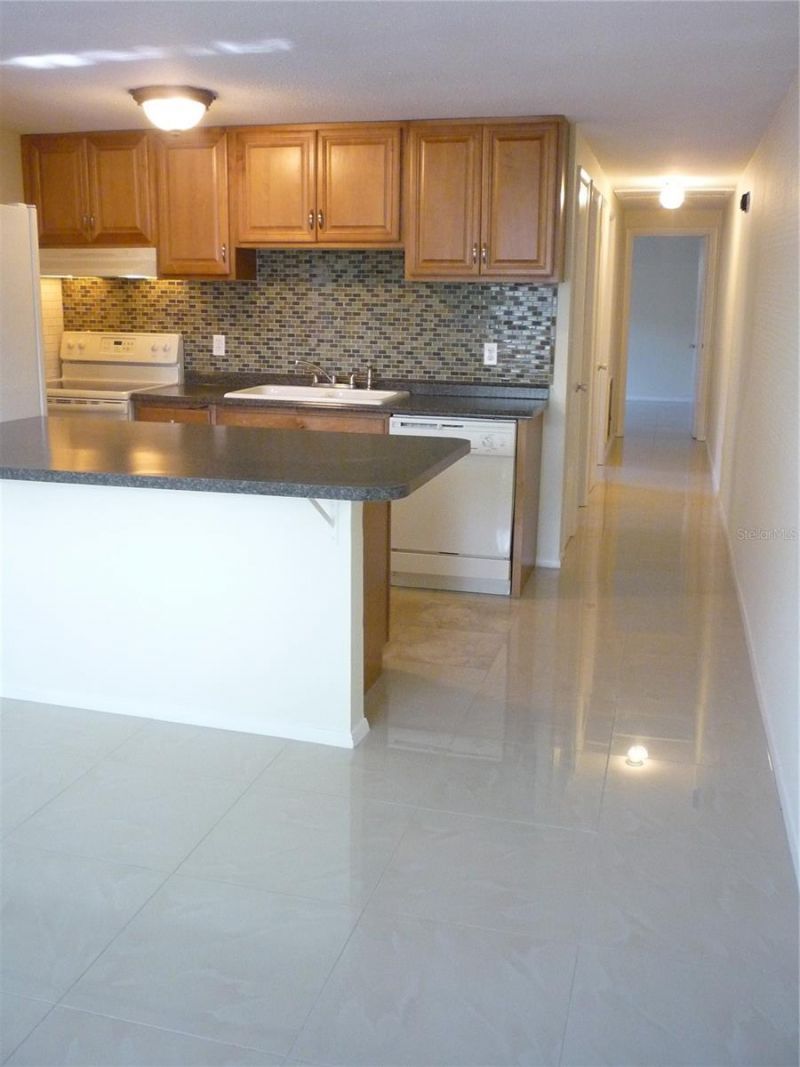 209 12th Avenue N, Saint Petersburg, FL 33704 Photo