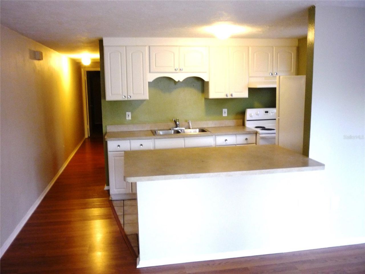 209 12th Avenue N, Saint Petersburg, FL 33704 Photo