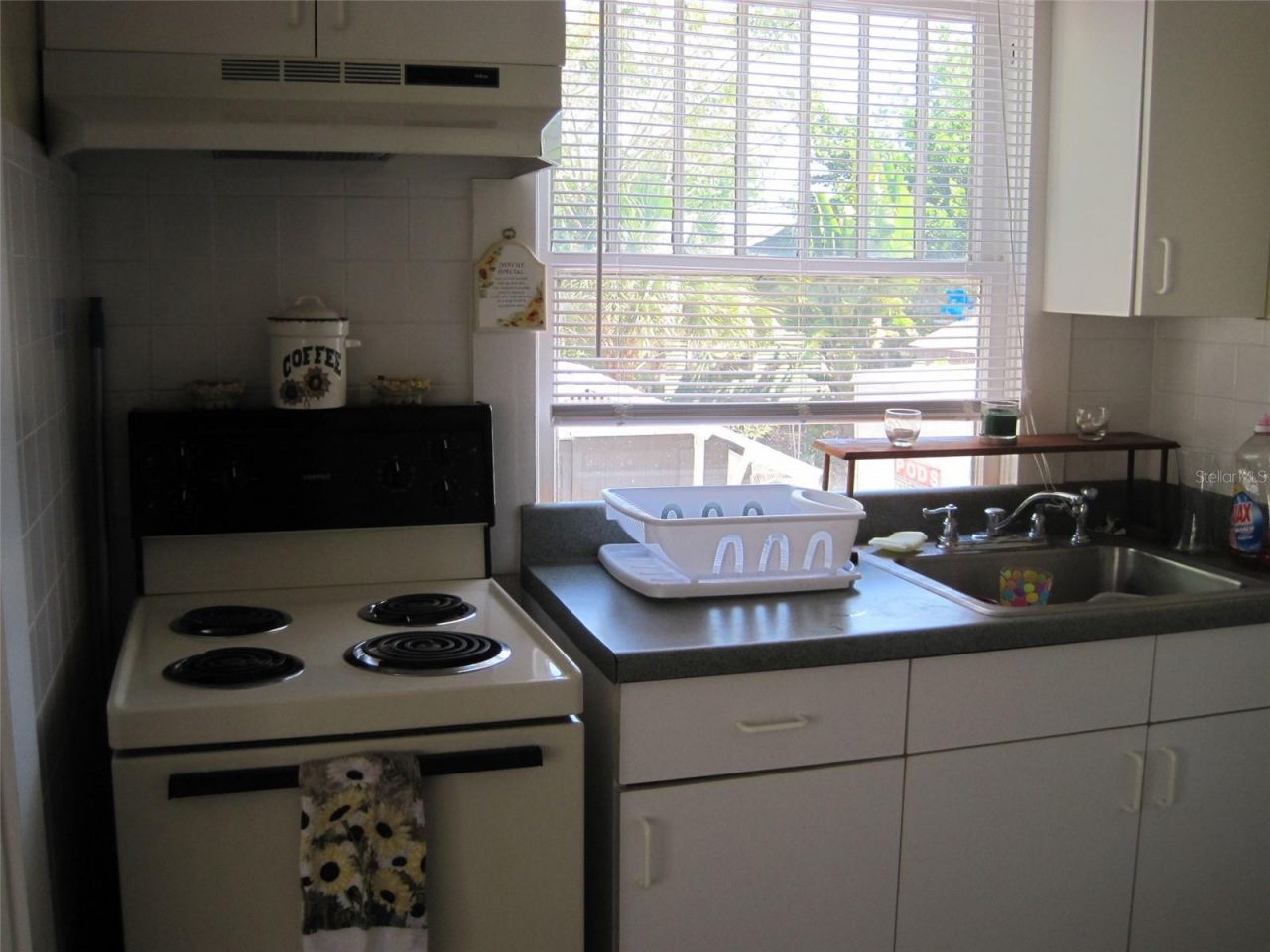 209 12th Avenue N, Saint Petersburg, FL 33704 Photo