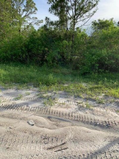 Lot-5010 Seminole Pratt Whitney Rd, Loxahatchee, FL 33470 Photo