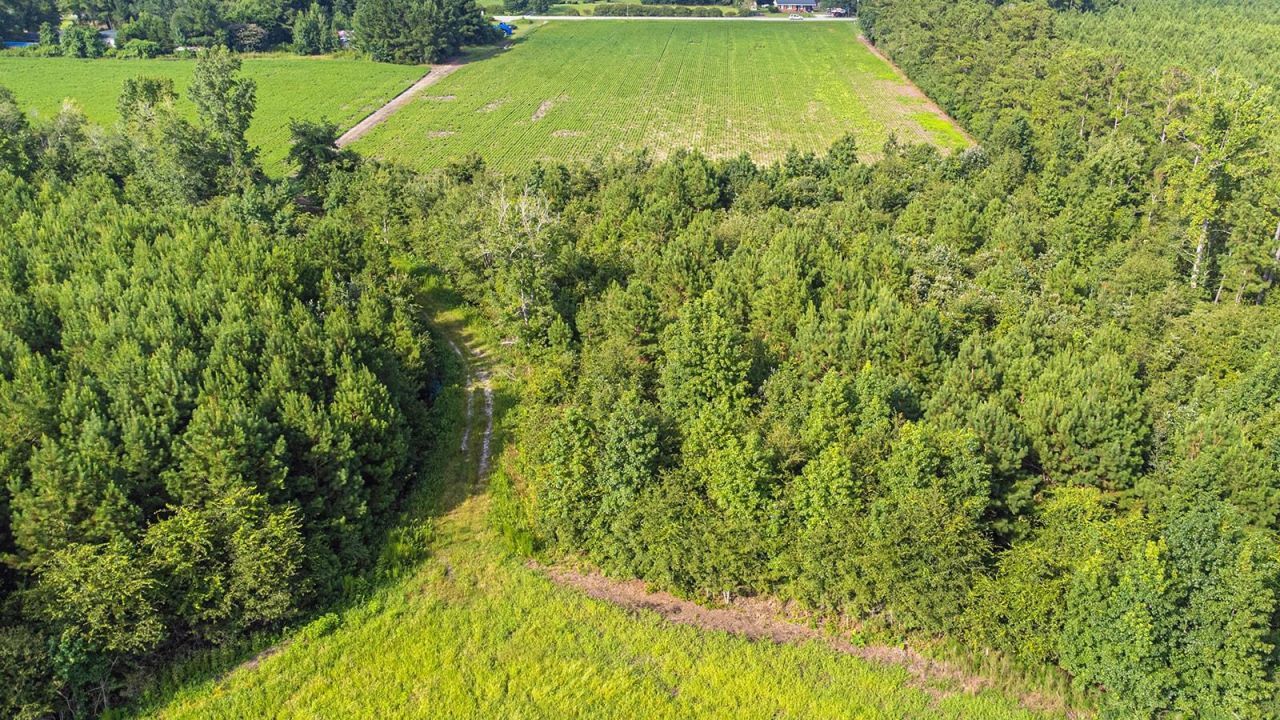 Tbd 37 Acres Highway 9 W Photo 10