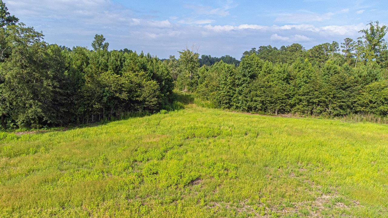 Tbd 37 Acres Highway 9 W Photo 11