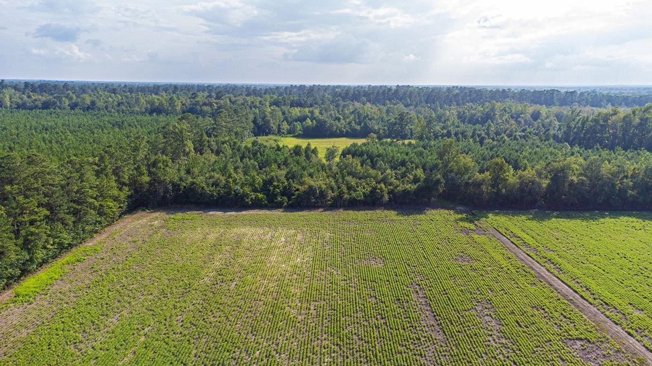 Tbd 37 Acres Highway 9 W Photo 18