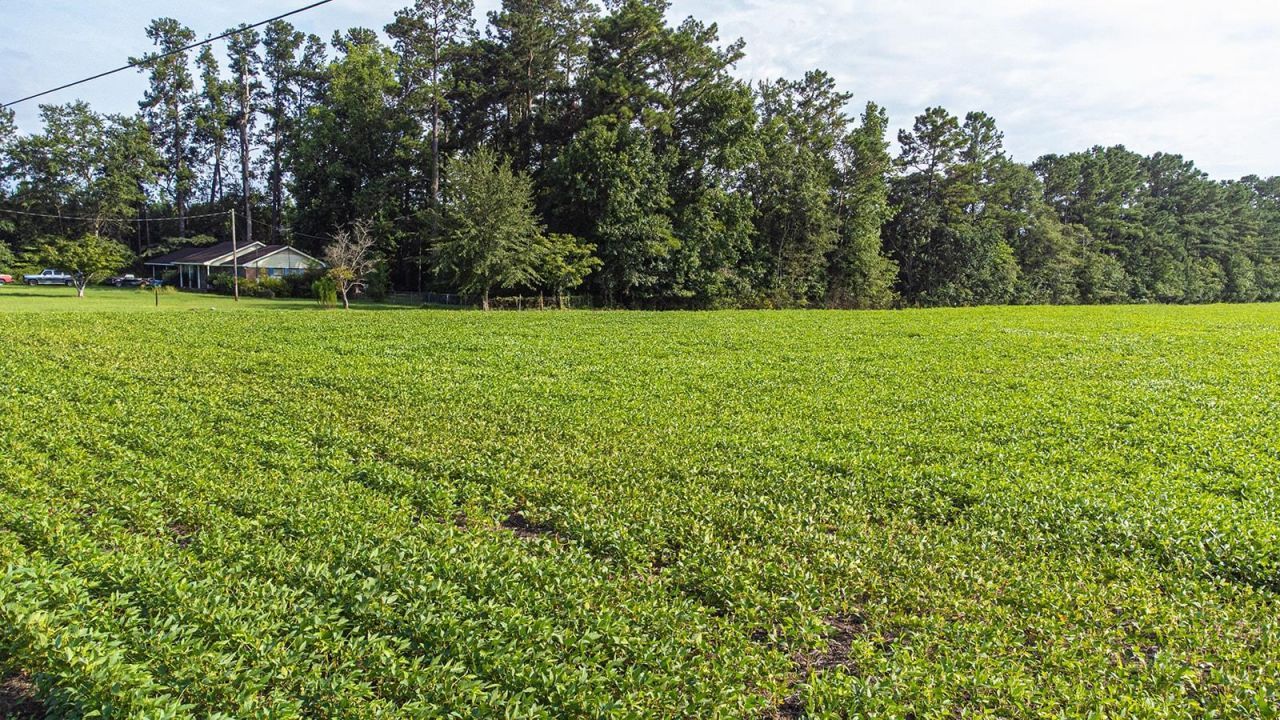 Tbd 37 Acres Highway 9 W Photo 22