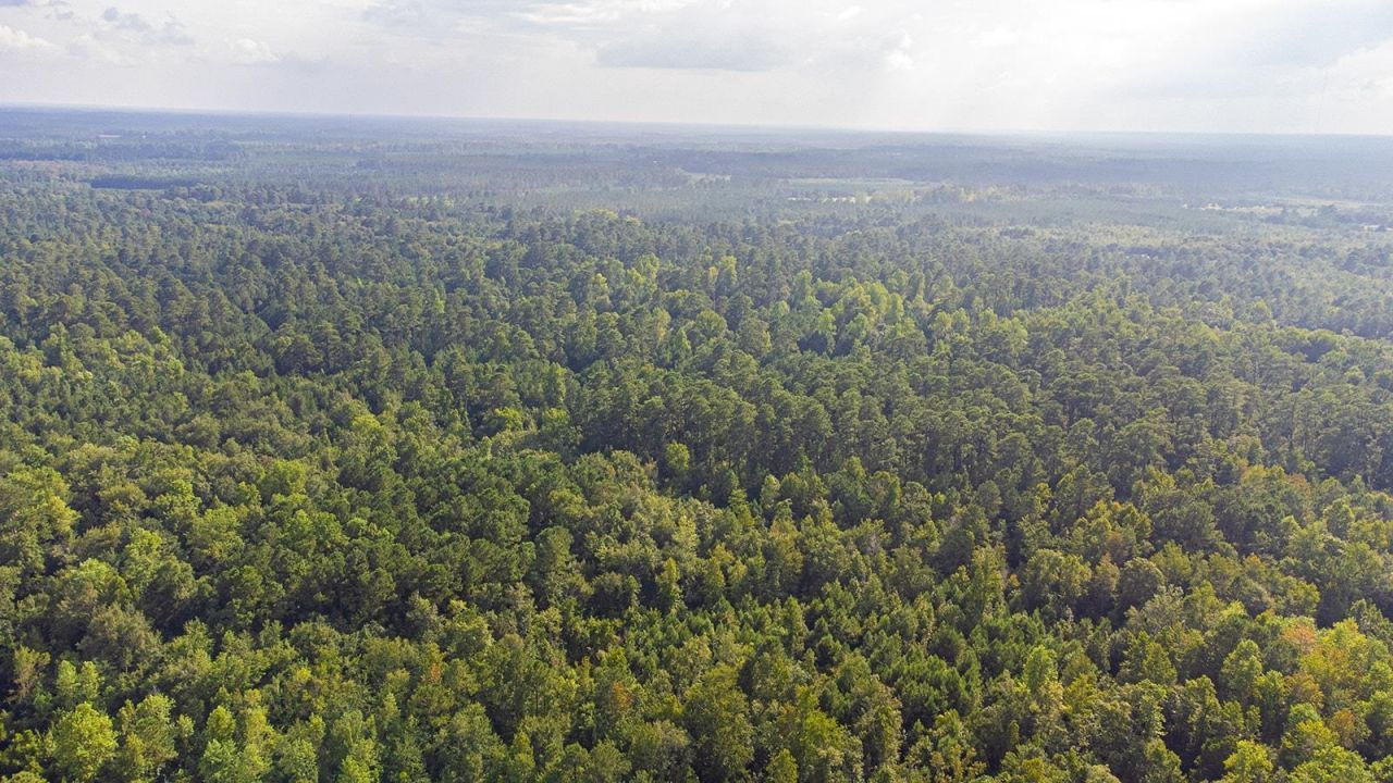 Tbd 37 Acres Highway 9 W Photo 8