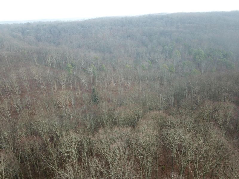 12001 W Buck Run Road , Rockbridge, OH 43149 Photo 10