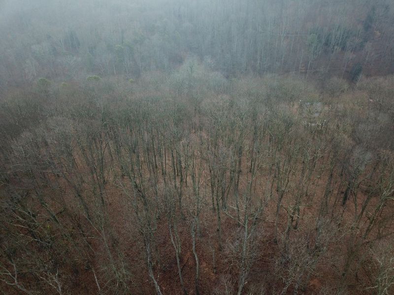 12001 W Buck Run Road , Rockbridge, OH 43149 Photo 11