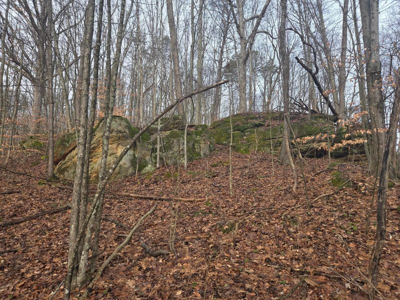 12001 W Buck Run Road , Rockbridge, OH 43149 Photo 2