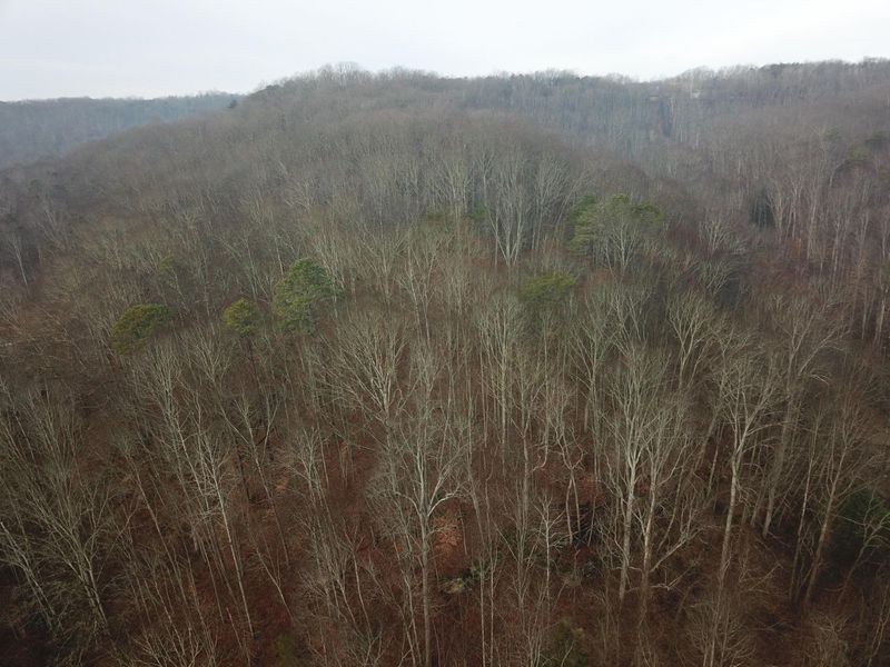 12001 W Buck Run Road , Rockbridge, OH 43149 Photo 6