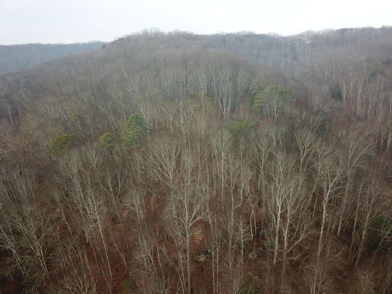 12001 W Buck Run Road , Rockbridge, OH 43149 Photo 7