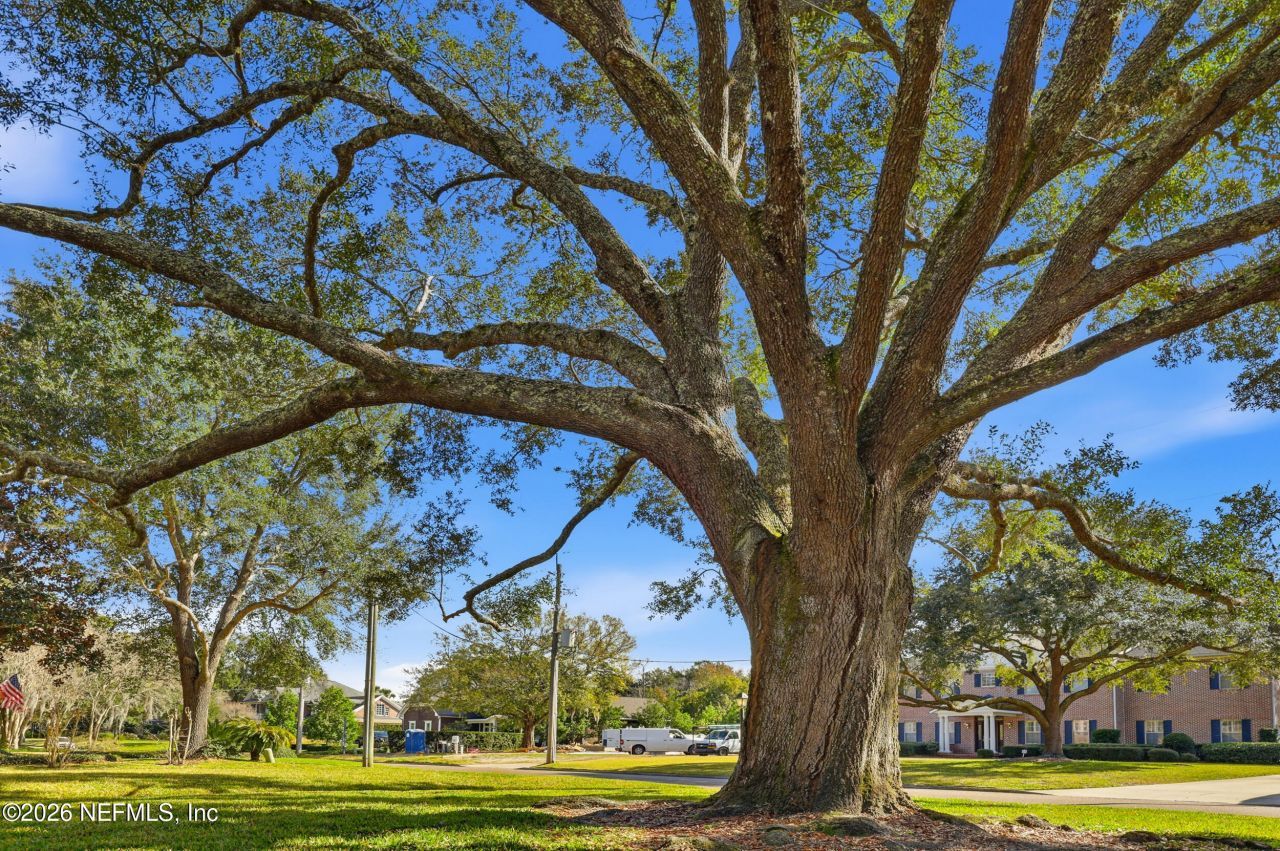 959 Maple Lane, Jacksonville, FL 32207 Photo
