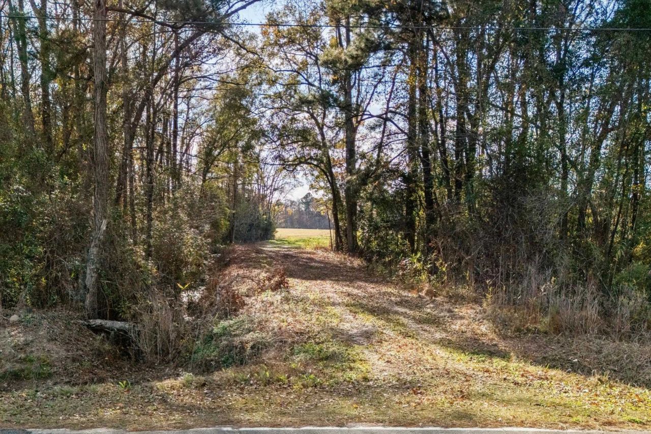 Tbd S Little Lamb Rd. Photo 12