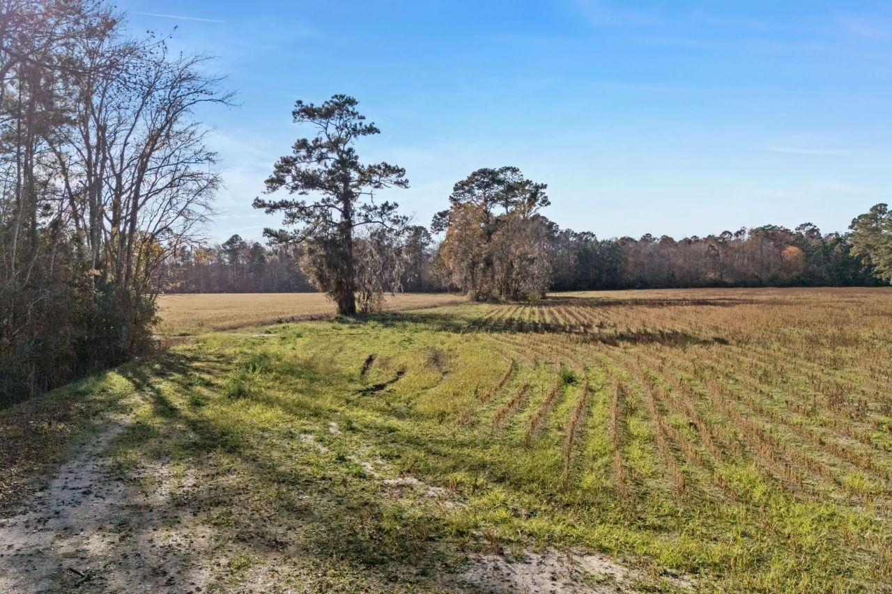 Tbd S Little Lamb Rd. Photo 13