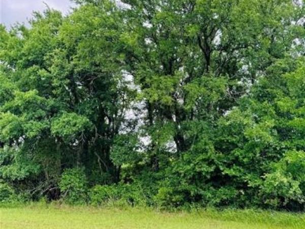 24103 Stonewood Drive, Whitney, TX 76692